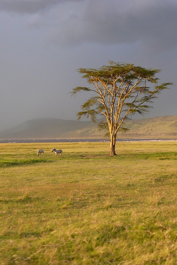 3-Day Tarangire & Serengeti Safari